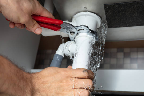 Best Mold removal after water damage  in Pine Ridge, SD