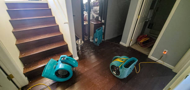 Best Emergency water damage restoration  in Pine Ridge, SD