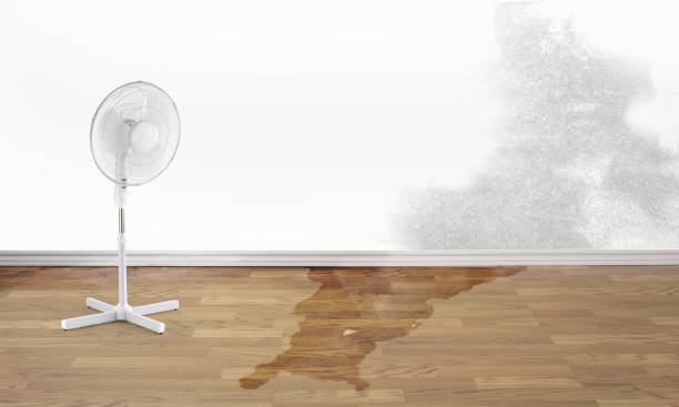 Best Water damage restoration company  in Pine Ridge, SD