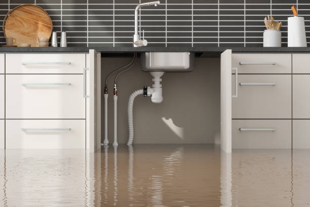 Best 24-hour water damage restoration  in Pine Ridge, SD