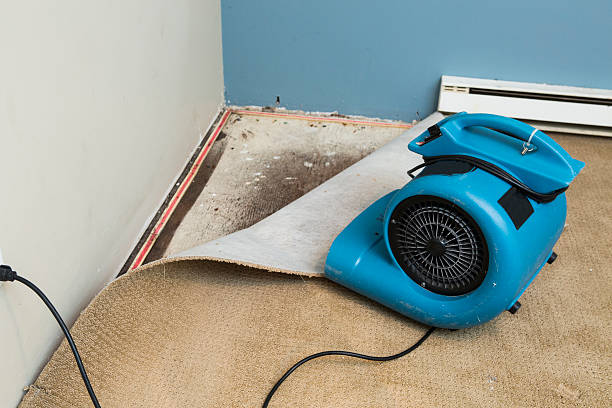 Best Residential water damage restoration  in Pine Ridge, SD
